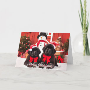 5x7 Newfoundland Dog Christmas Kaart
