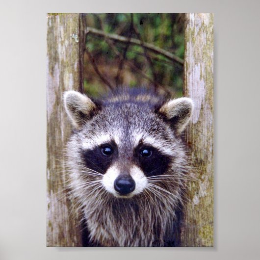 5x7 Poster papier (Matte) voor wasgoed (Voorkant)