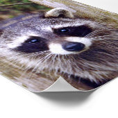 5x7 Poster papier (Matte) voor wasgoed (Hoek)