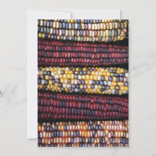 5x7 Thanksgiving Kaart (Voorkant)