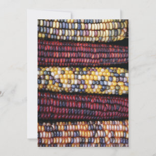 5x7 Thanksgiving Kaart