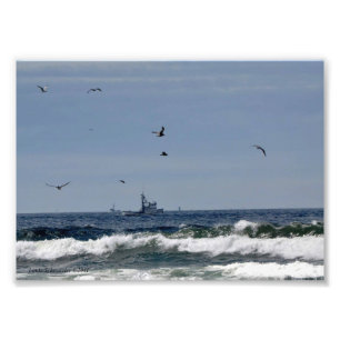 5x7 Vist op de Stille Oceaan Foto Afdruk
