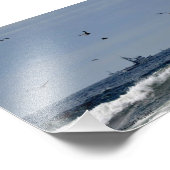 5x7 Vist op de Stille Oceaan Foto Afdruk (Hoek)