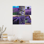 60.96x60.96cm, Lavande Poster (standaard) (Keuken)