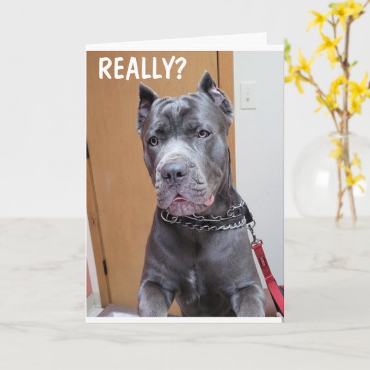 ***60*** AND YOU STILL LOOK "FANTASIC" BIRTHDAY  C KAART (Gele Bloem)