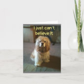 ***60*** IK GELOOF HET NIET KAART (Voorkant)