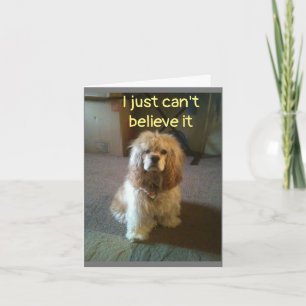 ***60*** IK GELOOF HET NIET KAART