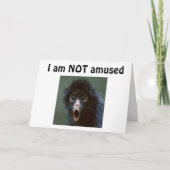 **60?** KIJK JE NIET MEER DAG DAN 59??? BIRTHDAY KAART (Voorkant)