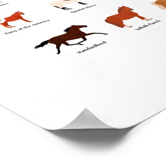 60 paardenrassen poster (Hoek)