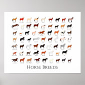 60 paardenrassen poster (Voorkant)