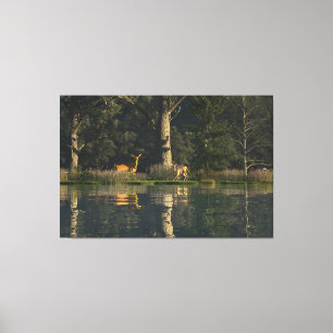 60"x40" Canvas Kunst met "Geschrokken" afbeelding