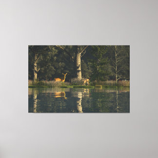 60"x40" Canvas Kunst met "Geschrokken" afbeelding