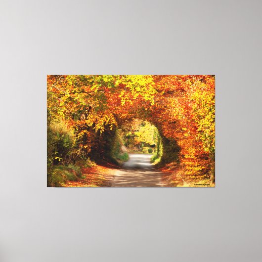 60" x 40" Canvas Gele Moeras Kilcullen Afdruk (Voorkant)