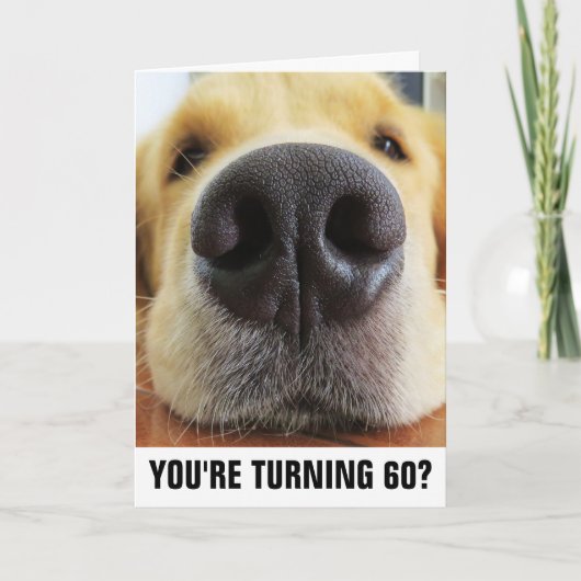 60E BIRTHDAY FUNNY DOG GIANT KAARTEN (Voorkant)