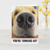 60E BIRTHDAY FUNNY DOG WENSKAARTEN KAART (Gele Bloem)