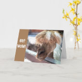 **60e BIRTHDAY** HEBBEN EEN HARDE TIJD OM HET TE G Kaart (Gele Bloem)