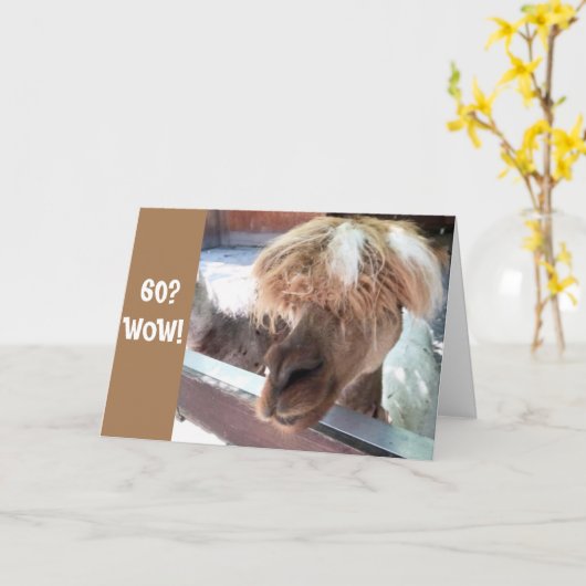 **60e BIRTHDAY** HEBBEN EEN HARDE TIJD OM HET TE G Kaart (Gele Bloem)