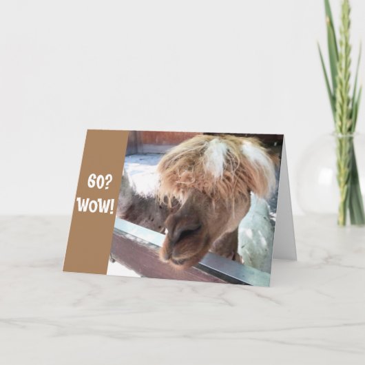 **60e BIRTHDAY** HEBBEN EEN HARDE TIJD OM HET TE G Kaart (Voorkant)