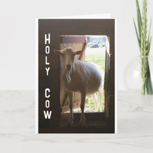 "60e BIRTHDAY??? JE KAN NIET GELOVEN DAT IT Kaart (Voorkant)