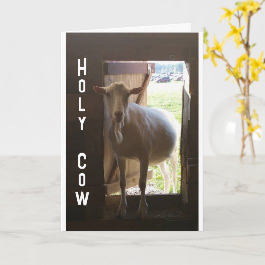 "60e BIRTHDAY??? JE KAN NIET GELOVEN DAT IT Kaart (Gele Bloem)