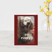 **60e BIRTHDAY WENS VAN COMEDIC SPANIEL** Kaart (Gele Bloem)