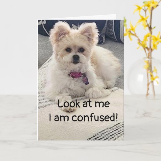 **60e BIRTHDAY** ZO VERTROUWD! Kaart (Gele Bloem)