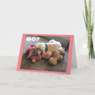 **60e halve dag** MAAKT KATIE ZO UITHAALD VOOR U Kaart