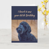 60e verjaardag Fun Cute Black Curly Dog Pet Kaart (Gele Bloem)