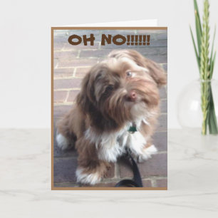 **60E VERJAARDAG** OH NEE ZEGT PUPPY KAART