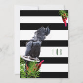 60e verjaardag Parrot Black White Stripe Birthday Kaart (Voorkant)