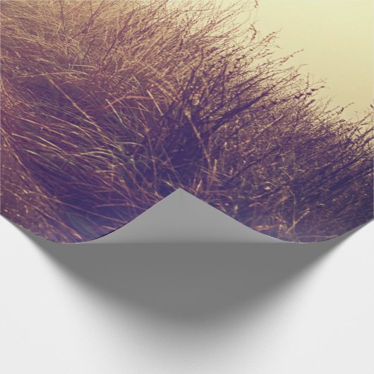 60lb inpakpapier Roll Sunrise Pathway Walkway P (Hoek)