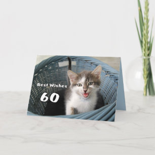60ste verjaardag Crazy Kitten Kaart