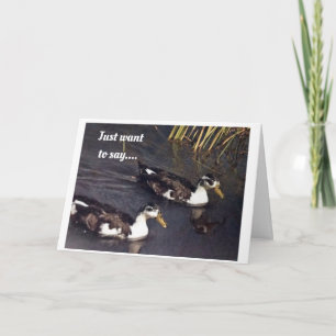 **60ste VERJAARDAG** EENDEN ZIJN KOMIEK VOOR "JIJ" Kaart