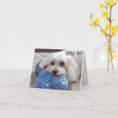 *60ste VERJAARDAG* HA HA HA HA (FUNNY DOG HUMOR) K Kaart (Gele Bloem)