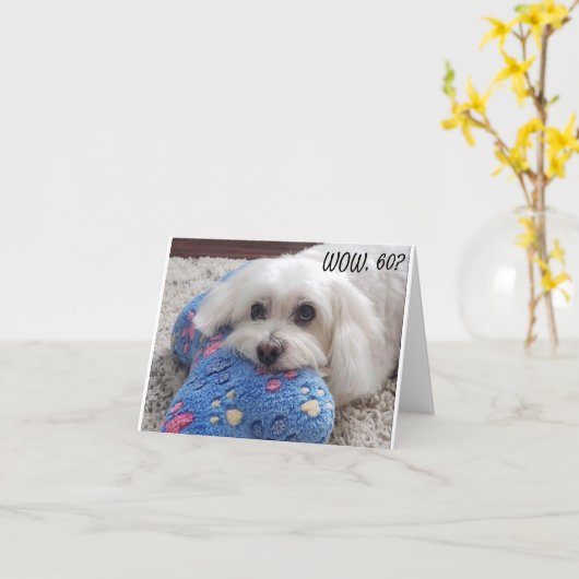 *60ste VERJAARDAG* HA HA HA HA (FUNNY DOG HUMOR) K Kaart (Gele Bloem)