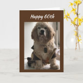 **60ste VERJAARDAG WENSEN VAN COCKER SPANIEL** Kaa Kaart (Gele Bloem)