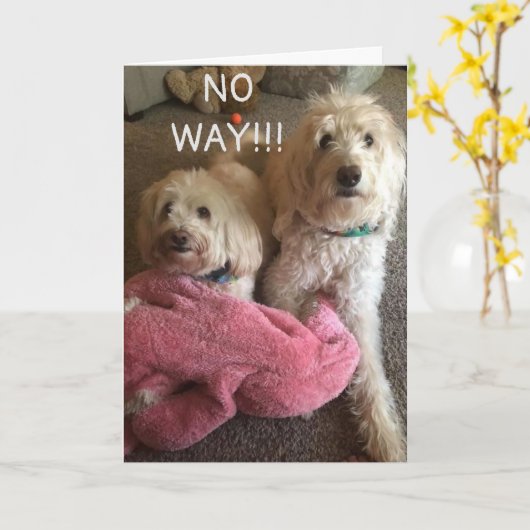 **60ste VERJAARDAG** WENSEN VAN EEN AANTAL SCHATTI Kaart (Gele Bloem)