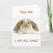 **60th** BIRTHDAY HUMOR VAN *FUNNY BUNNY" Kaart (Voorkant)