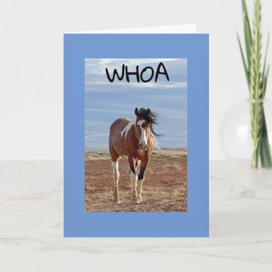 **60th & U BENT ZO GEBRUIKELIJK Kaart (Voorkant)