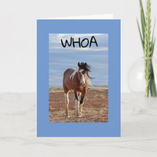 **60th & U BENT ZO GEBRUIKELIJK Kaart