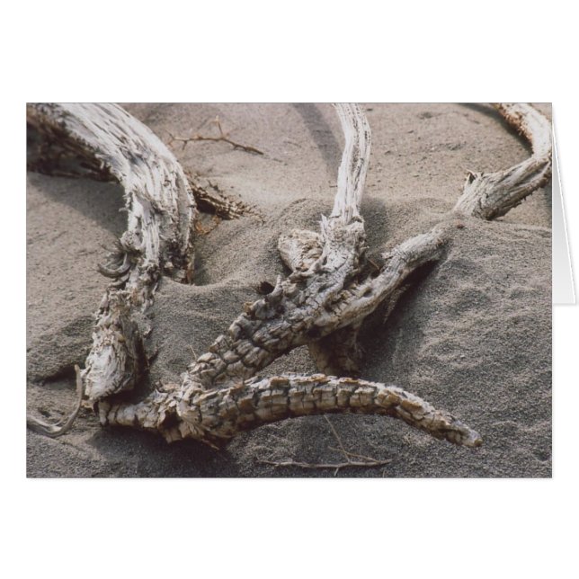 61. Wooden Antler Rack (Voorkant Horizontaal)