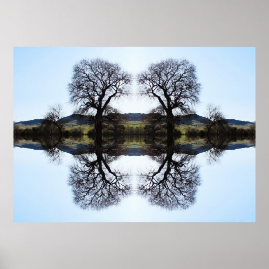 62914 Fractal Trees Poster (Voorkant)