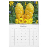 637, Caribische agenda van 2009 Kalender (Mar 2027)