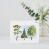 63; Australische bomen Briefkaart (Staand voorkant)