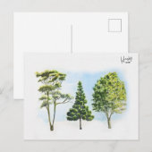 63; Australische bomen Briefkaart (Voorkant / Achterkant)