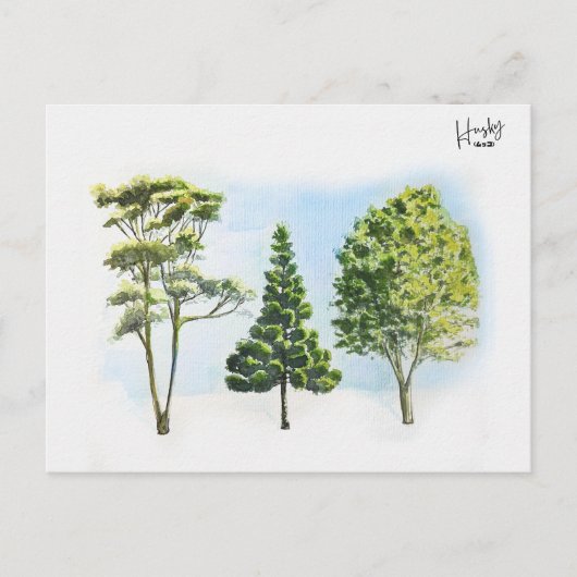 63; Australische bomen Briefkaart (Voorkant)