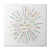 63 National Parks Map geeft US Park  Campin Tegeltje (Voorkant)