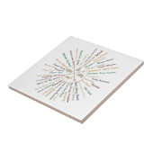 63 National Parks Map geeft US Park Campin Tegeltje (Zijkant)