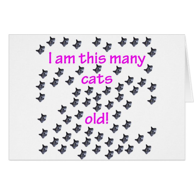 64 Kattenkoppen oud (Voorkant Horizontaal)