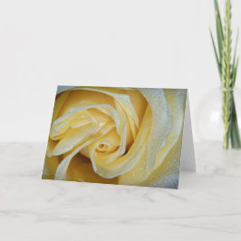 6557-Gele roos met dauw Kaart